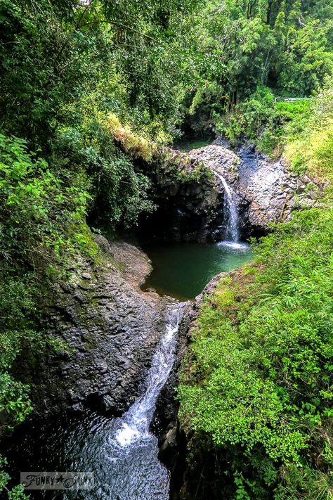 Part of the 7 Sacred Pools along the Pipiwai Trail leading through the bamboo forest during our Road to Hana trip in Maui, Hawaii - full story on funkyjunkinteriors.net 7 Sacred Pools Maui, Pipiwai Trail Maui, Road To Hana, Bamboo Forest, Funky Junk, Maui Hawaii, New Adventures, The Seven, Country Life