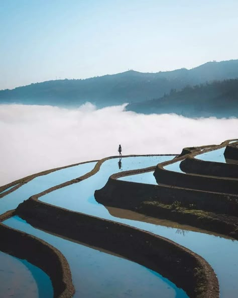 Terrace Farming, Farming Land, Chinese Places, China Travel Guide, Believe In, Rice Paddies, Chinese Aesthetic, Tropical Fashion, Fine Art Landscape Photography