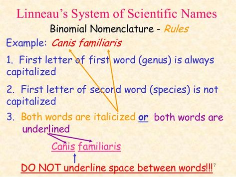 Linneau’s System of Scientific Names Binomial Nomenclature - Rules Example: Canis familiaris 1. First letter of first wo... Free Science Posters, Science Flashcards, Persuasive Writing Prompts, General Biology, Science Week, Writing Practice Worksheets, Biology Lessons, Teaching Biology, Science Notes