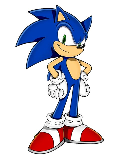 Amy Sonic, Tails Sonic, Sonic Sonic, Nine Tails, Sonic Adventure 2, Characters Inspiration, Logo Design Inspiration Creative, Sonic Fan Characters, Blue Hedgehog