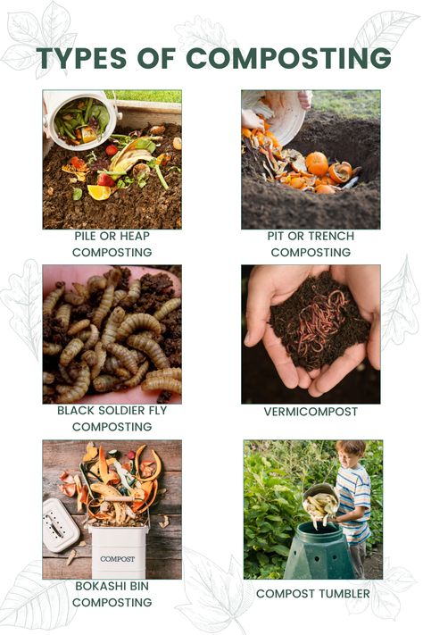 Fruits Farming, Homestead Knowledge, Easy Composting, Garden Basics, How To Start Composting, Start Composting, Biodegradable Waste, Composting Methods, Compost Bins