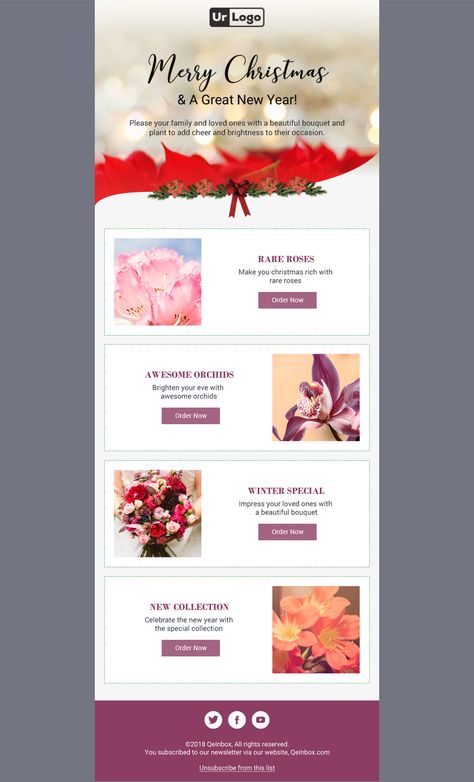 Email Newsletters Design, Christmas Layout Design, Mailchimp Design, Advertising Campaign Design, Christmas Email, Christmas Newsletter, Free Email Templates, Christmas Marketing, Email Layout