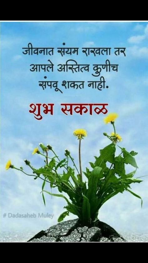 Good Morning Wishes In Marathi, Good Morning Marathi Quotes, Good Mrng Quotes, Bhudda Quotes, Beautiful Morning Quotes, Hindi Good Morning Quotes, Good Morning Life Quotes, Good Morning Friends Images, Good Morning Beautiful Quotes