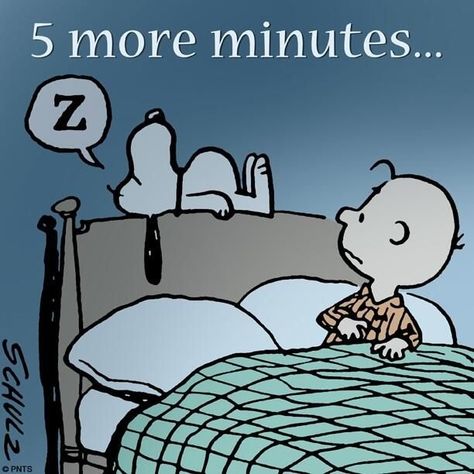 5 More Minutes funny quotes quote charlie brown sleep snoopy funny quotes Charles Shultz, 5 More Minutes, Snoopy Comics, 귀여운 음식 그림, Snoopy Funny, Charlie Brown Snoopy, Snoopy Images, Peanuts Cartoon, Snoopy Quotes