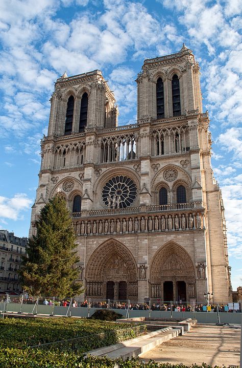 Notre Dame Paris, London Painting, Gothic Cathedrals, Cathedral Architecture, Snow Trip, Sacred Architecture, European Cities, Paris Aesthetic, Castle House