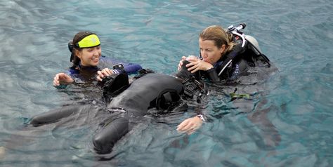 rescue diver course Rescue Diver, Deep Diving, Scuba Diving Gear, Accidents Happen, Diving Gear, Scuba Diver, Forensic, First Place, Scuba Diving