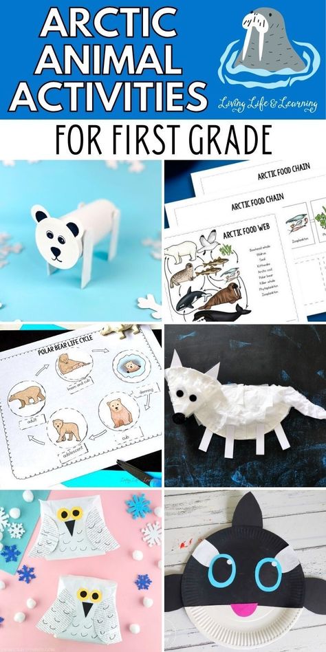 Habitats Preschool, Arctic Animal Activities, Animal Habitats Preschool, Snowy Owl Craft, Arctic Animals Activities, Polar Bears Activities, Owl Habitat, Arctic Habitat, Animal Facts For Kids