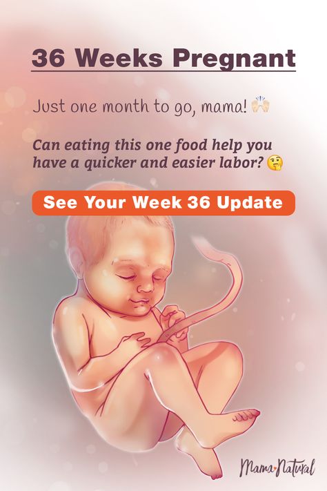 See what's up with baby, mama, and more when you're 36 weeks pregnant. The ultimate week by week natural pregnancy guide! Learn everything from pregnancy symptoms, development, learn to track your baby's growth and natural remedies for a healthy pregnancy. Click to find a complete timeline from the first trimester, second trimester, third trimester with tips for mom and baby to prepare them for a natural birth.   #naturalpregnancy #pregnancytips #naturalbirth Pregnancy Symptoms By Week, Baby Development Chart, Week By Week Pregnancy, Am I Pregnant, 40 Weeks Pregnant, 35 Weeks Pregnant, 34 Weeks Pregnant, Baby Development Activities, Third Trimester Pregnancy