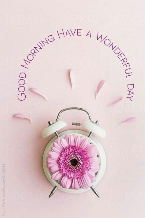 Happy Calligraphy, Good Morning Sister, Good Morning Arabic, Good Morning Happy Sunday, Happy Morning Quotes, Good Morning Flowers Quotes, Good Morning Beautiful Flowers, Good Morning Flowers Pictures, Good Morning Flowers Gif