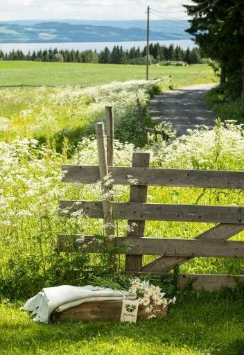 Country Fences, Country Flowers, Country Lane, Country Roads Take Me Home, Cottage Life, Summer Afternoon, Country Landscaping, Country Scenes, A Sheep