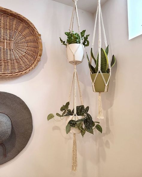 Hang Plants From Ceiling, Install Floating Shelves, Double Macrame Plant Hanger, Double Plant Hanger, Indoor Plant Hanger, Wall Hanging Decorations, Easy Care Houseplants, Indoor Plant Hangers, Wall Macrame