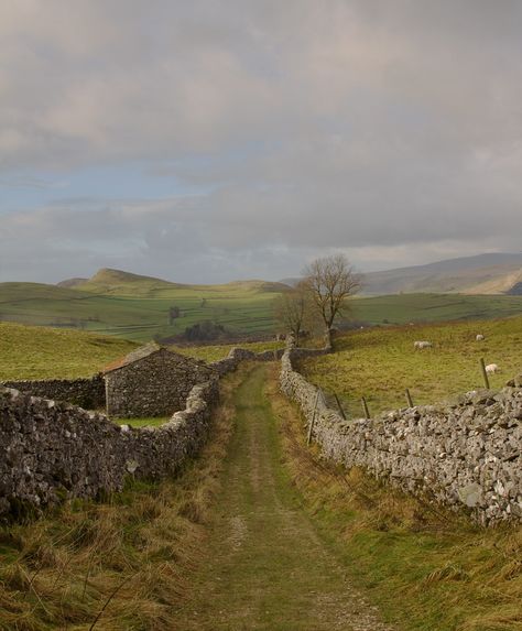 Yorkshire Dales National Park, England Countryside, Kentish Town, Skai Jackson, I Want To Live, Belle Nature, British Countryside, Yorkshire Dales, Dirt Road