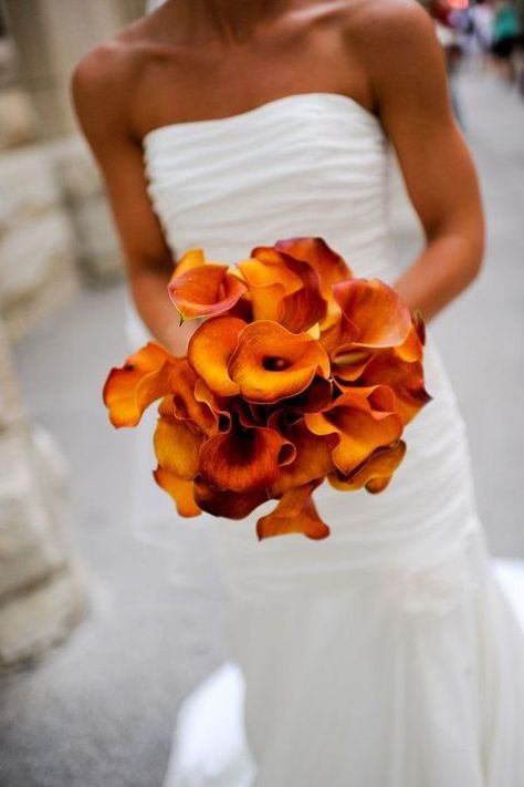 calla lily wedding bouquet ideas #wedding #weddings #weddingideas #himisspuff Calla Lily Bouquet, Bouquet Bride, Lily Wedding, Lily Bouquet, Fall Wedding Bouquets, Fall Wedding Flowers, Deco Floral, Wedding Wishes, Here Comes The Bride