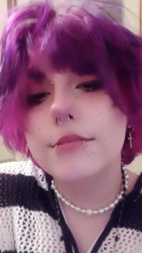 #snakebites #pearls #purplehair #dyedhair #fashion #alt #alternative #bridgepiercing #piercings #septum Piercings Septum, Bridge Piercing, Snakebites, Body Mods, Purple Hair, Dyed Hair, Piercings, Choker Necklace, Bridge