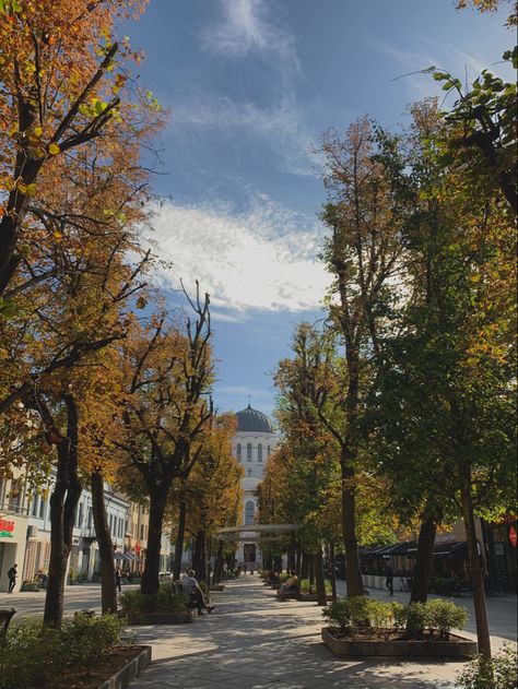 kaunas, avenue,church, city, lithuania,travel ideas, travel inspo, fall Baltics Travel, Lithuania Aesthetic, Lithuania Kaunas, Lithuania Travel, Kaunas Lithuania, Baltic Countries, East Europe, European Tour, Cultural Experience