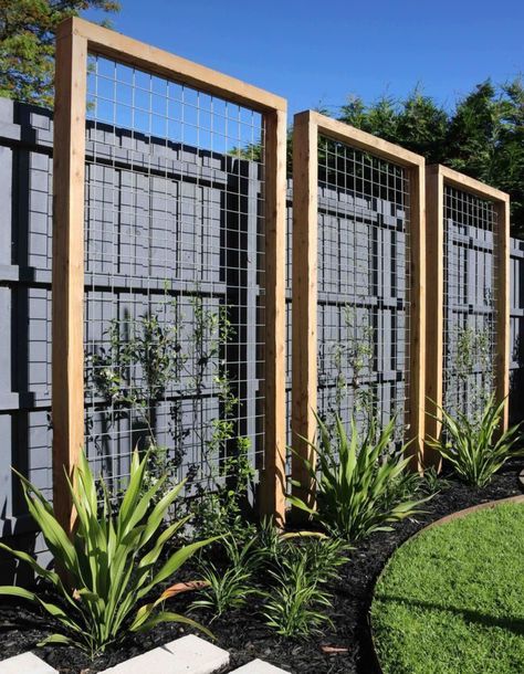 Mesh Trellis, Moderne Have, Backyard Design Ideas Budget, Garden Screening, Outdoor Privacy, Outdoor Gardens Design, Backyard Garden Design, Backyard Fences, Small Backyard Design