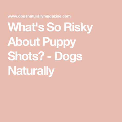 What's So Risky About Puppy Shots? - Dogs Naturally Puppy Shots, My Puppy, New Puppy, Home A, For Dogs, Dogs And Puppies, At Home, Puppies, Dogs