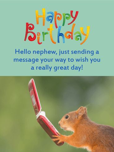 A Message From Squirrel - Funny Birthday Card for Nephew: This birthday card is awesome and your nephew is going to love it! It features a squirrel using a phone which ties into the words that let your nephew know you are sending him a birthday message that wishes him a great day! It displays colorful artistic lettering that says happy birthday and it adds a festive look to this birthday card. Send this birthday card off to your nephew to give him a good laugh on his special day! Happy Birthday Nephew Funny Hilarious Humor, Happy Birthday Nephew Funny, Funny Birthday Card Messages, Artistic Lettering, Birthday Card For Nephew, Birthday Nephew, Happy Birthday Animals, Birthday Animals, Happy Birthday Nephew