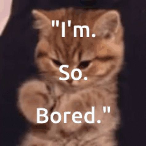 Im Bored Memes, Im Bored Meme Funny, I’m So Bored, Im Bord, Bored Meme, Tired Gif, Boring Cat, Boo Monsters Inc, Im So Bored