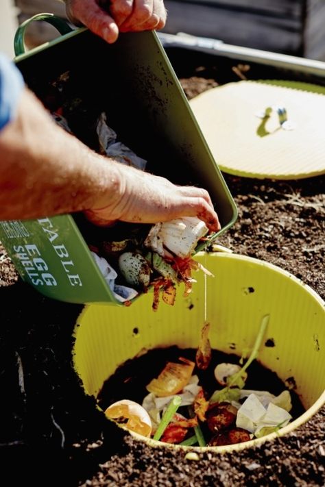 Make a Worm Plunger - a DIY vermicomposter for small spaces (7) Worm Farm Diy, Diy Compost, Worm Castings, Worm Composting, Worm Farm, Garden Compost, Veg Garden, Small Space Gardening, Composting