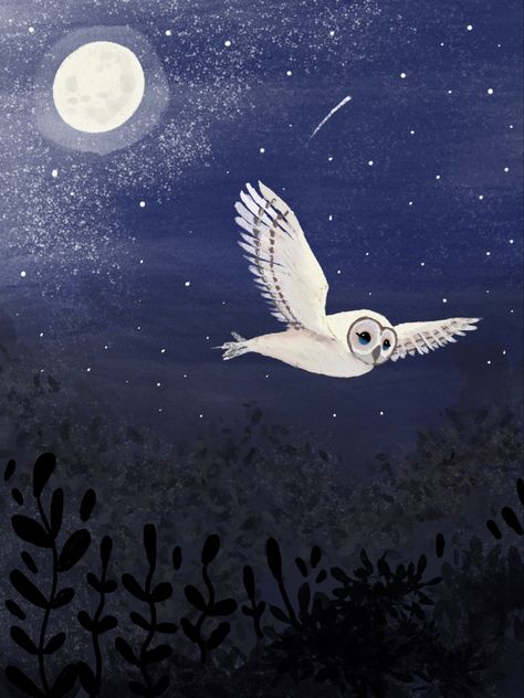 Flying Owl Illustration, Stars Illustration Art, Landscape Pencil Sketch, Night Scenery Drawing, Owl Mural, Owl At Night, Drawing Owl, Owl And Moon, Illustration Night