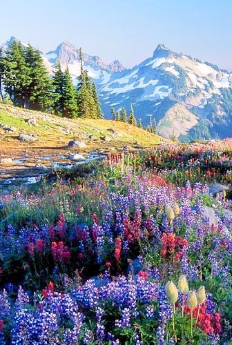 "Shout for joy, O heavens; rejoice, O earth; burst into song, O mountains!"  Isaiah 49:13 Vacation Memories, Have Inspiration, Alam Yang Indah, Yellowstone National, Yellowstone National Park, Pretty Places, In The Mountains, Amazing Nature, Vacation Spots