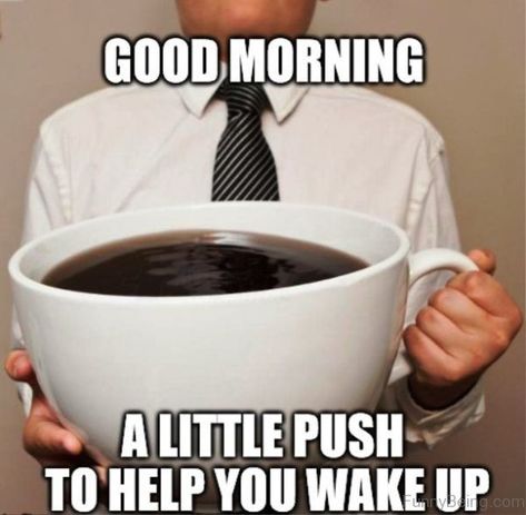 25 Good Morning Memes To Kickstart Your Day | SayingImages.com Funny Monday Memes, Funny Monday, Good Morning Meme, Funny Good Morning Memes, Monday Coffee, Memes For Him, Morning Memes, Monday Memes, Monday Humor