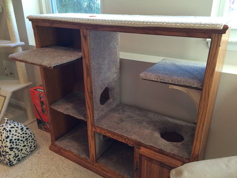 If you have a cat and an old entertainment center.  I found the entertainment center at a second hand store for $15 and magic.  Cats love it!! Entertainment Center Cat Condo, Diy Cat Tower, Old Entertainment Centers, Cat Condos, Cat Entertainment, Diy Cat Tree, Cat Towers, Cat Playground, Cat Trees