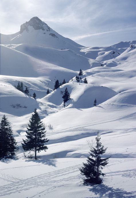 One of my favourite places in the world. Winter - Hahnenmoos Valley, Adelboden, Switzerland. Snow Snow Covered Mountains, Snow Valley, Adelboden, Winter Schnee, Winter Szenen, Wallpaper Bts, Winter Scenery, Winter Beauty, Snow Scenes