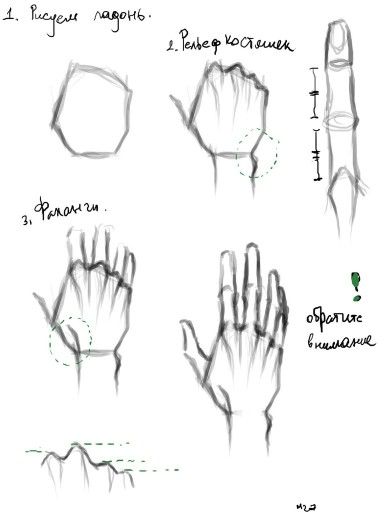 Faces Artwork, Gloves Drawing, Drawing Hands, Eye Drawing Tutorials, Practice Drawing, Face Drawing Reference, Artwork Ideas, Drawing Prompt, Art Tools Drawing