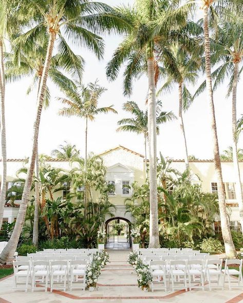 Married in Palm Beach | Palm Beach Wedding Venue | South Florida Wedding | Outdoor Wedding Ceremony | Tropical Beach Wedding Ceremony, Palm Beach Wedding Aesthetic, Palm Beach Wedding Invitations, Florida Wedding Flowers, West Palm Beach Wedding Venues, Tropical Modern Wedding, Boho Wedding Ceremony Decor, Glam Beach Wedding, West Coast Wedding Venues