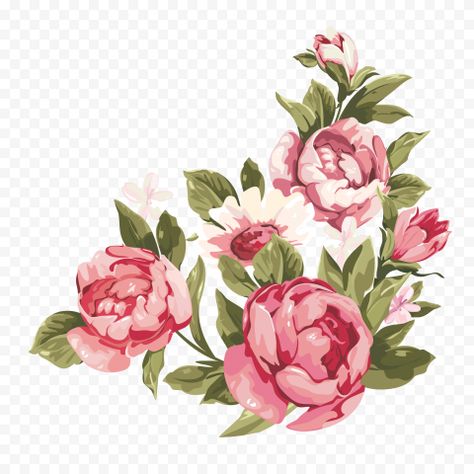 Without Background Pictures, Flowers Without Background Png, Png Flowers Hd, Flowers Without Background, Flowers No Background, Flowers Png Hd, Pic Template, Pink Flower Png, Watercolor Romantic