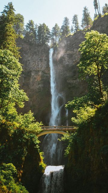 KATHRYN | Adventure Travel on Instagram: "My 5 Must-Visit Places in PNW👇 While the Pacific Northwest may see it’s fair share of risky, gloomy weather (especially in the winter), it also experiences plenty of sunny, dry days as well! July & August are your best bet for getting warmer, drier weather! Plus all that precipitation throughout the year means tons of waterfalls, snowy mountain tops, and vibrant green forests to explore! The PNW is hands down one of my favorite areas of the country to Pacific Northwest Forest, Granola Life, Silver Falls State Park, Sisters Oregon, Pacific Northwest Travel, Gloomy Weather, Visit Places, Evergreen State, North Cascades National Park