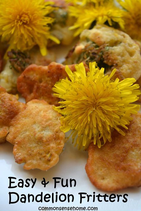 This dandelion fritter recipe is a fun and and tasty way to put those blossoms to use. Enjoy it sweet or savory. Includes tips for identifying dandelions, serving suggestions, and more bee friendly flower ideas. Dandelion Ice Cream, Dandelion Fritters Recipe, Bee Friendly Flowers, Gluten Free Milk, Foraging Recipes, Dandelion Jelly, Fritters Recipe, Fritter Recipes, Bee Friendly