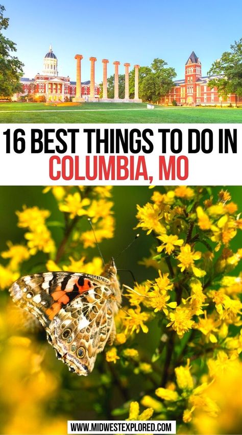 16 Best Things To Do In Columbia MO Missouri Hiking, Branson Missouri Vacation, Missouri Travel, South Dakota Vacation, Interesting Activities, North America Travel Destinations, Columbia Missouri, Road Trip Routes, Columbia Mo