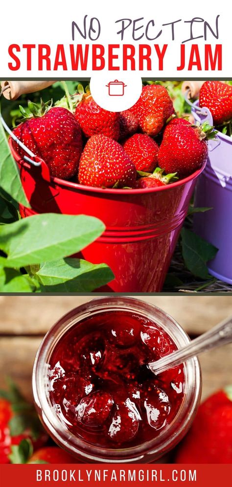 Strawberry Jam recipe that doesn't require pectin. This easy jam is soft and spreads smooth on toast. Includes refrigerator, canning and freezer instructions. Refrigerator Canning, No Pectin Strawberry Jam, Easy Jam Recipe, Easy Strawberry Jam, Easy Jam, Strawberry Jam Recipe, Cucumber Recipes, Jam Recipe, Fruit Jam