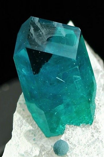 Dioptase Crystal, Raw Minerals, Pretty Rocks, Semi Precious Gems, Mineral Stone, Minerals And Gemstones, Rocks And Gems, Blue Gems, Precious Gems