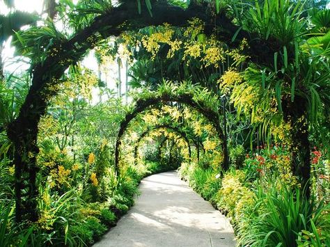 19 Best Botanical Gardens in the World | Balcony Garden Web Singapore Garden Design, Parks And Gardens Photography, Indoor Park, Botanic Park, Cactus Gardens, Mothersday Quotes, Luxurious Garden, Montreal Botanical Garden, Singapore Botanic Gardens