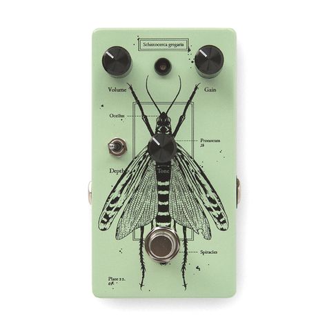 Guitar Pedals Design, Guitar Effects Pedals Diy, Guitar Pedals Aesthetic, Guitar Pedal Art, Guitar Pedal Design, Twisted Transistor, Pedalboard Setup, Diy Pedalboard, Guitar Pedal Boards