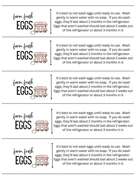 Egg Handling Instructions, Ag Teacher, Hippie Living, Backyard Chicken Farming, Avery Labels, Egg Cartons, Chicken Diy, Farm Fresh Eggs, Cut It Out