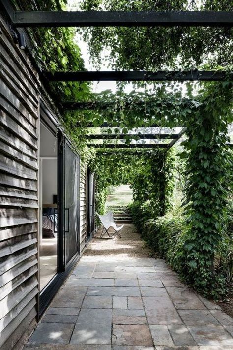 Funny Vine, Villa Garden, Landscaping Diy, Covered Walkway, Work Studio, Minimalist Garden, Pergola Design, Norman Foster, Residential Architect