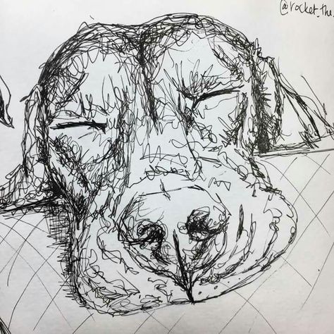 Labrador Sketch, Ear Tattoo Ideas, Ear Tattoos, A Level Art Sketchbook, Scribble Art, Pen Art Drawings, Dog Sketch, A Level Art, Sketchbook Inspiration