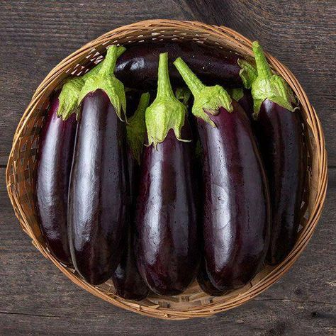 Eggplant Plant, Eggplant Varieties, Eggplant Seeds, Purple Fruit, Greek Dishes, Meat Substitutes, Bechamel Sauce, Mustard Greens, Minced Meat