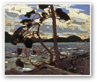 Tom Thomson, Art Gallery Of Ontario, Tree Paintings, Emily Carr, Group Of Seven, Nature Painting, Post Impressionism, Canadian Art, Canadian Artists