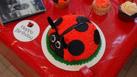 Ladybug Smash Cake, Cake Base, Vanilla Cake Mixes, Twin First Birthday, Ladybug Party, A Ladybug, Smash Cake, The Shape, Cake Smash