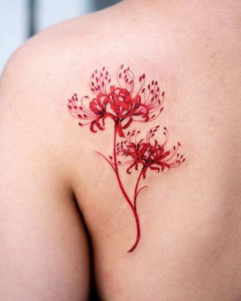 Spider Lily Flower Tattoo, Spider Lily Flower, Lily Flower Tattoo, Spider Lily Tattoo, Red Flower Tattoos, Lily Flower Tattoos, Red Spider Lily, Spider Lily, Red Ink Tattoos