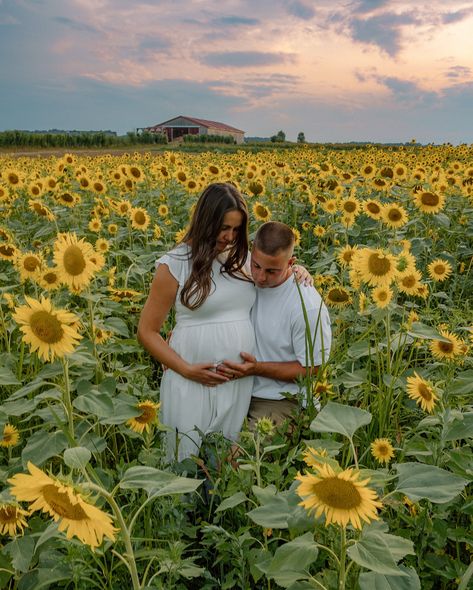 A blossoming belly in a sea full of sunflowers for the Reinstadtler’s maternity session 💛🌻 #BumpInBloom #PittsburghPhotographer #sunflower #EriePhotographer Sunflower Field Baby Announcement, Maternity Photo Shoot Ideas Sunflowers, Sun Flower Maternity Shoot, Sunflower Field Pregnancy Announcement, Sunflower Feild Maternity Pictures, Cute Pregnancy Photos, Baby Announcement Photoshoot, Maternity Photoshoot Poses, Maternity Session