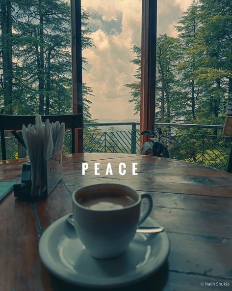 Ek garam chai ki pyali #shimla #chai #clouds #mountains #aesthetic #mood #peace #vacation #mountains #hillstation Vacation Mountains, Find Your Peace, Clouds Mountains, Mountains Aesthetic, Shimla, Hill Station, Take Your Time, Beautiful Sky, Drinking Tea