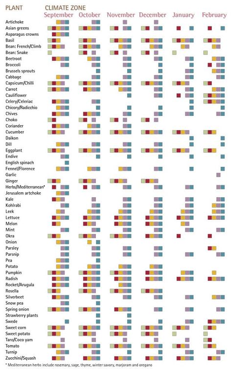 From the ABC Organic Gardener Magazine Australian planting guide Spring-Summer planting guide #Organic_Gardening #Top_Garden #Best_Garden #Garden_Decor #Garden_Ideas Summer Planting, Vegetable Planting Guide, Planting Guide, Veggie Patch, Organic Vegetable Garden, Small Backyard Gardens, Veg Garden, Home Vegetable Garden, The Abc