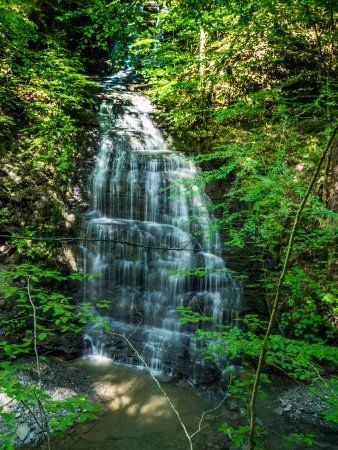 Fillmore Glen State Park, Moravia: See 84 reviews, articles, and 68 photos of Fillmore Glen State Park, ranked No.1 on TripAdvisor among 3 attractions in Moravia. State Park, State Parks, Trip Advisor, No 1, Need To Know, New York, Water